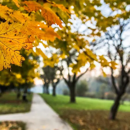 Bulwary 7 アパート